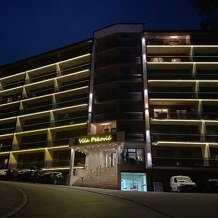 Apartment Pino Bianco 1 - Vila Pekovic Златибор Екстериор снимка